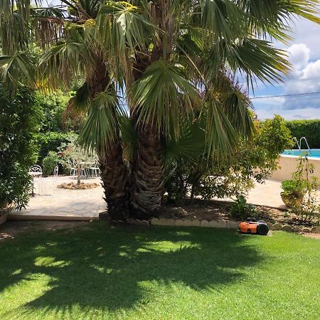 Bed and Breakfast Maison Du Midi Lorgues Exterior foto