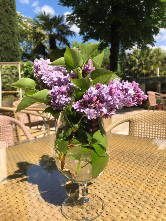 Bed and Breakfast Maison Du Midi Lorgues Exterior foto